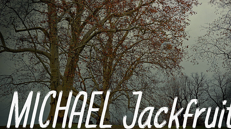 MICHAEL Jackfruit Font Family