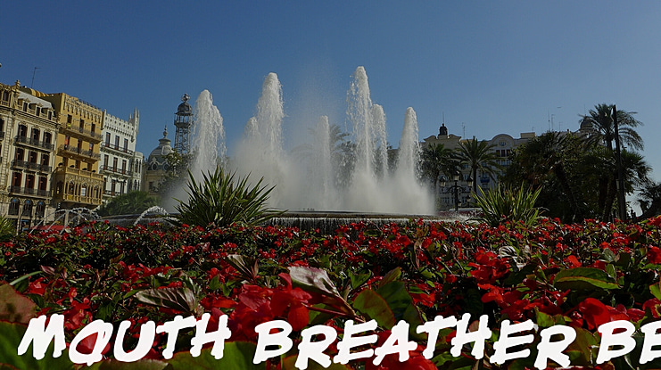 Mouth Breather BB Font Family