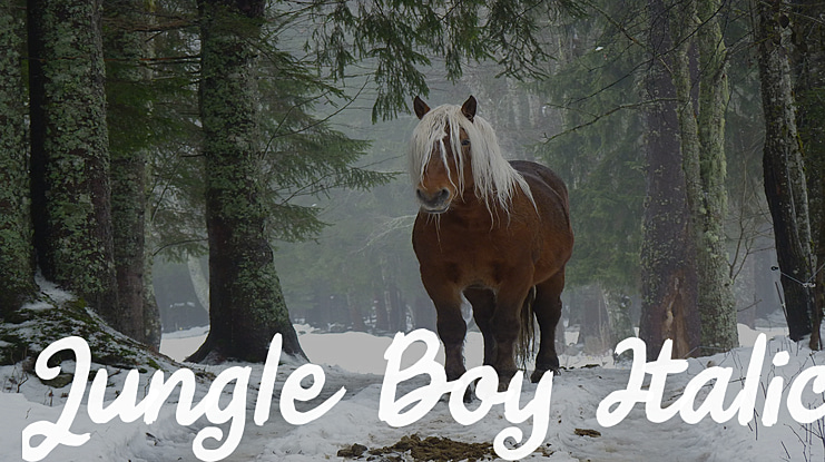 Jungle Boy Font Family