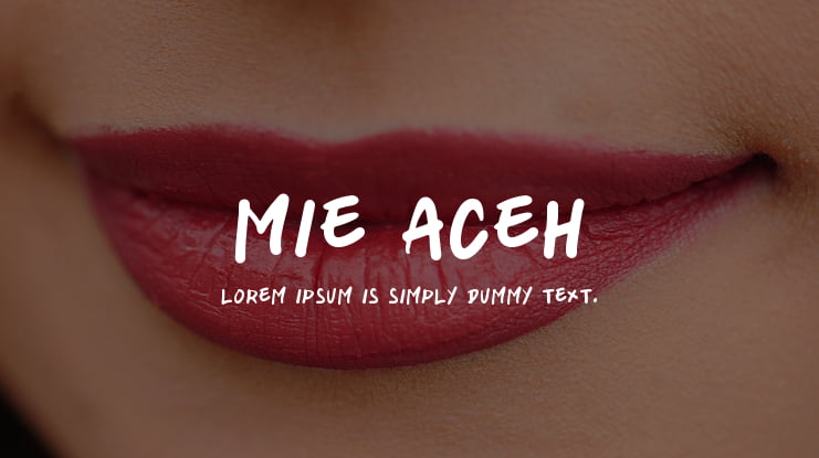 mie aceh Font