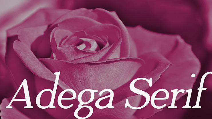 Adega Serif Font Family