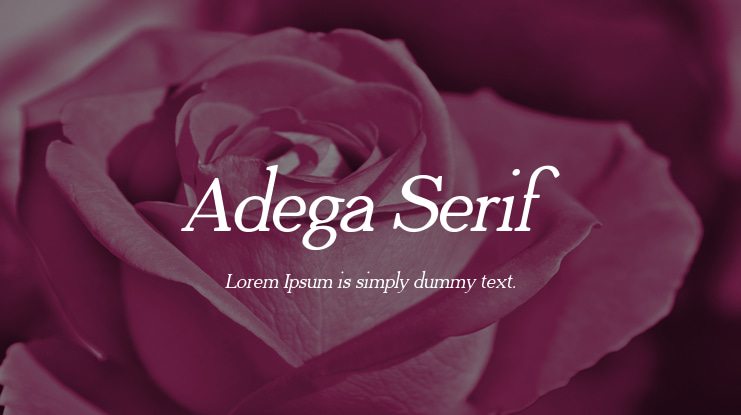 Adega Serif Font Family