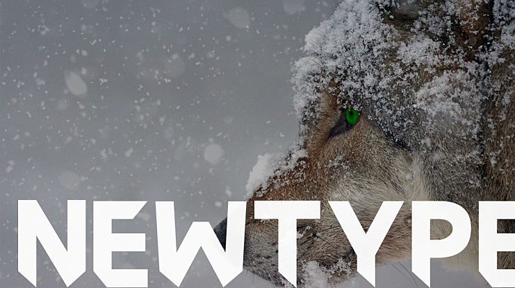 Newtype Font