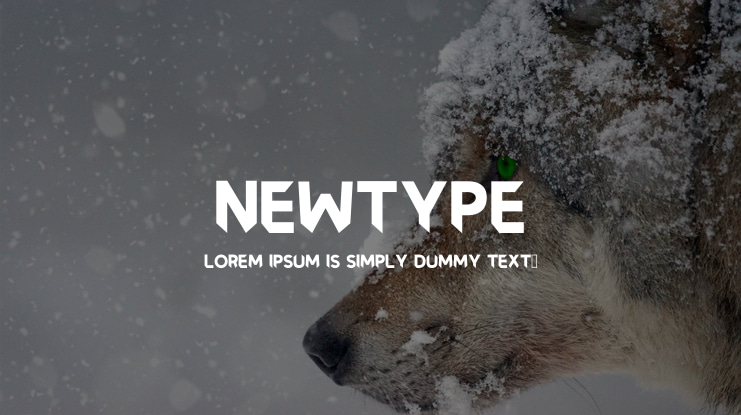 Newtype Font