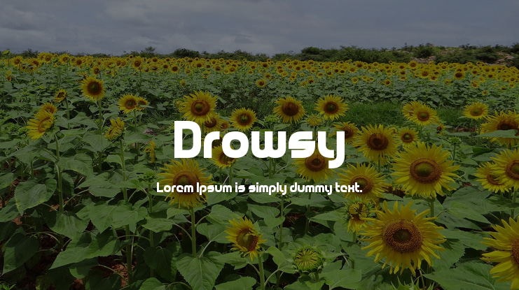 Drowsy Font