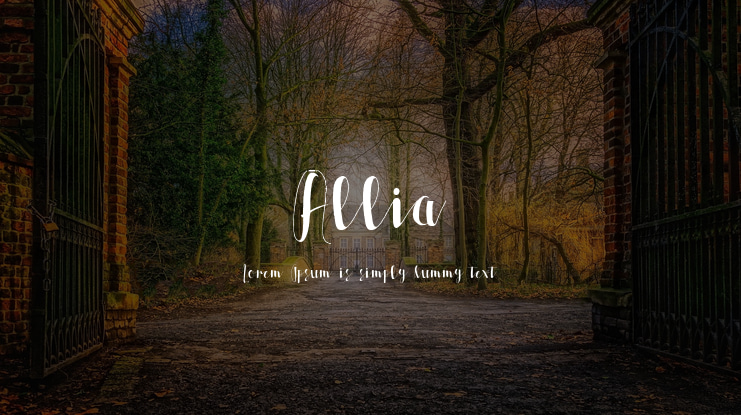 Allia Font