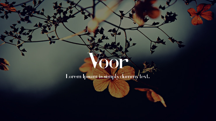 Voor Font