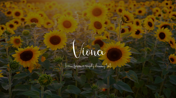 Viona Font