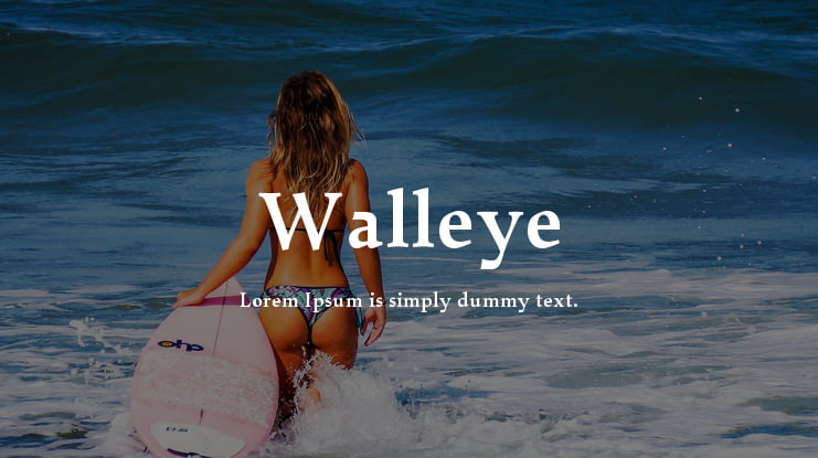 Walleye Font Family
