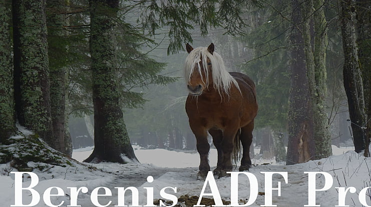 Berenis ADF Pro Font Family