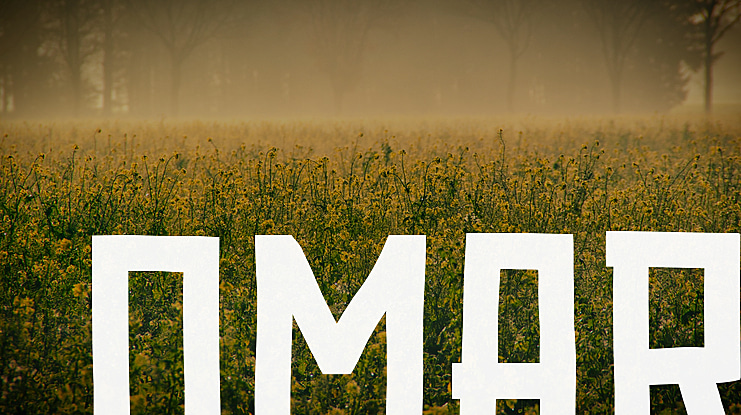 Omar Font Family