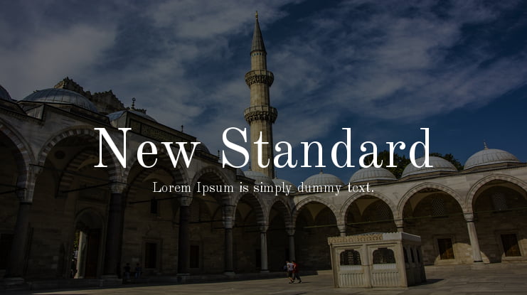 New Standard Font