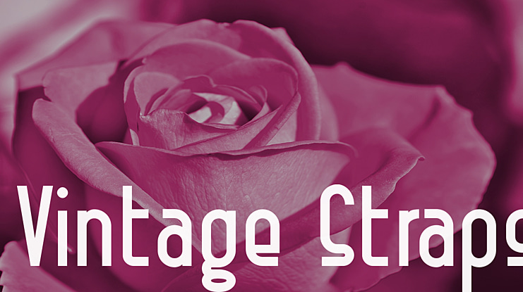 Vintage Straps Font Family