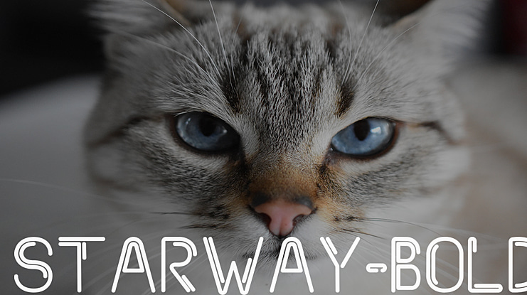 Starway- Font Family