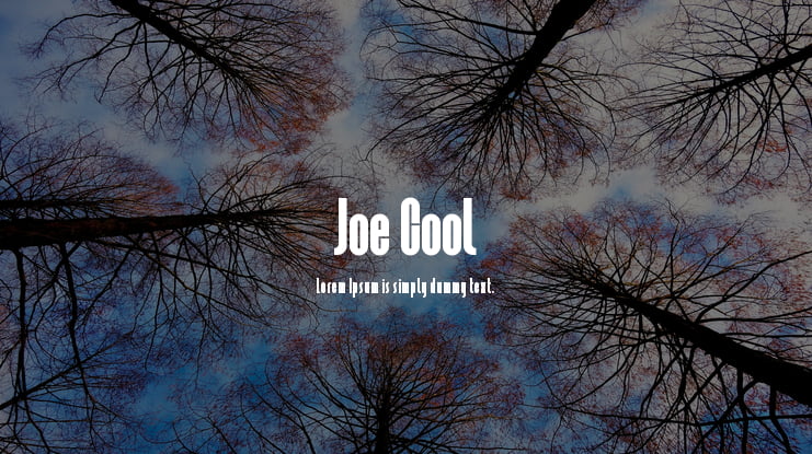 Joe Cool Font Family