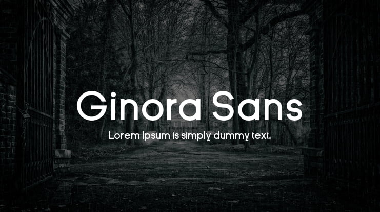 Ginora Sans Font Family