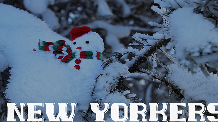 New Yorkers Font Family