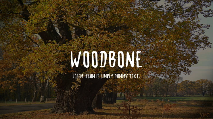 Woodbone Font