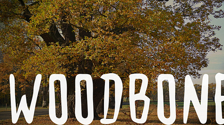 Woodbone Font