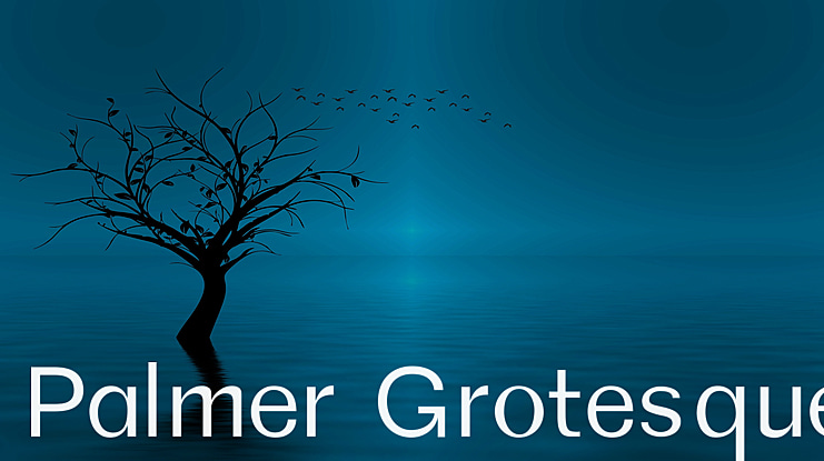 Palmer Grotesque Font
