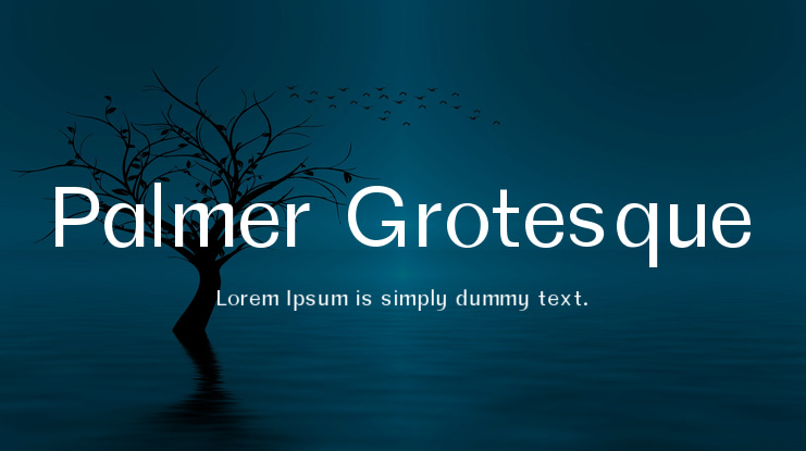 Palmer Grotesque Font