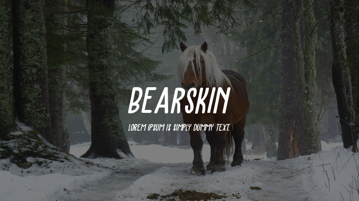 Bearskin Font Family