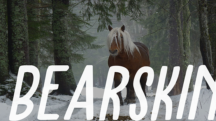 Bearskin Font Family