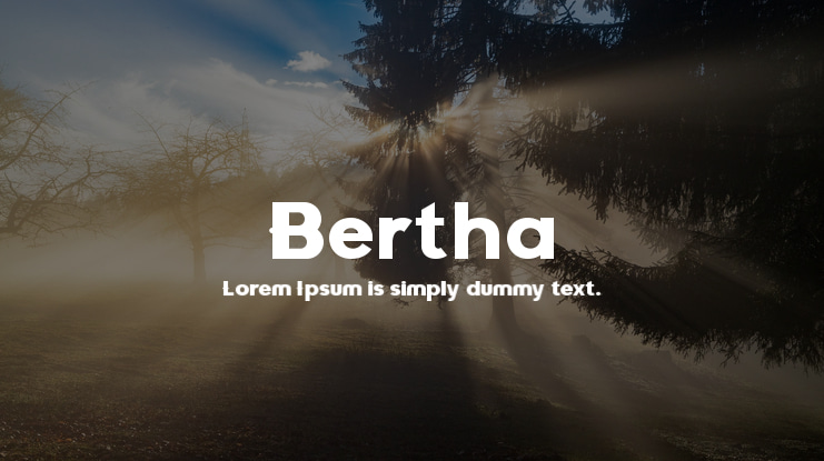 Bertha Font Family