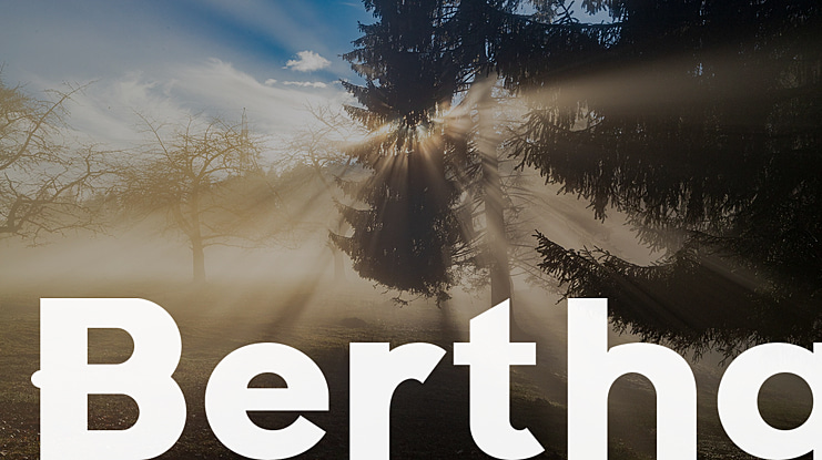 Bertha Font Family