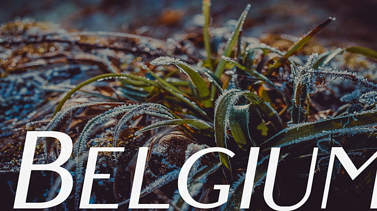 Belgium Font Family