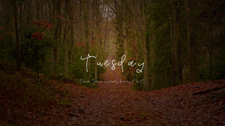 Tuesday Font