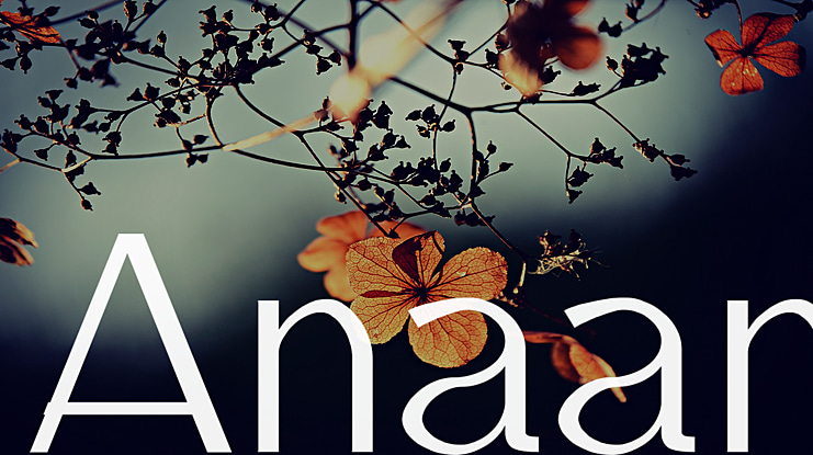 Anaan Font Family