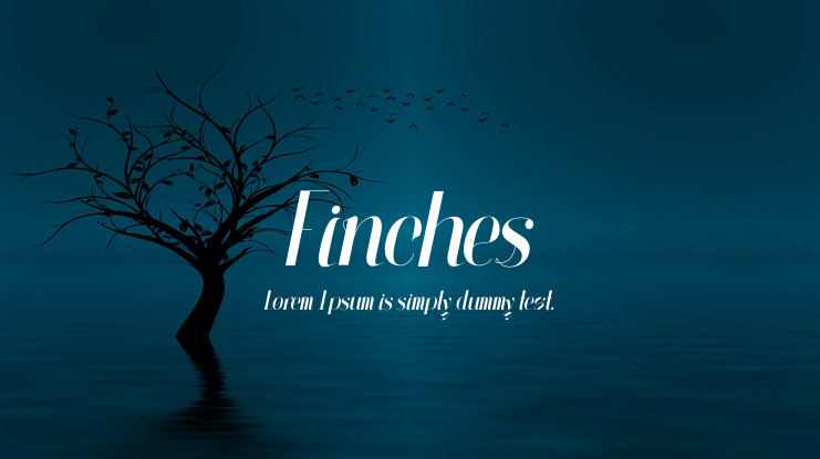 Finches Font