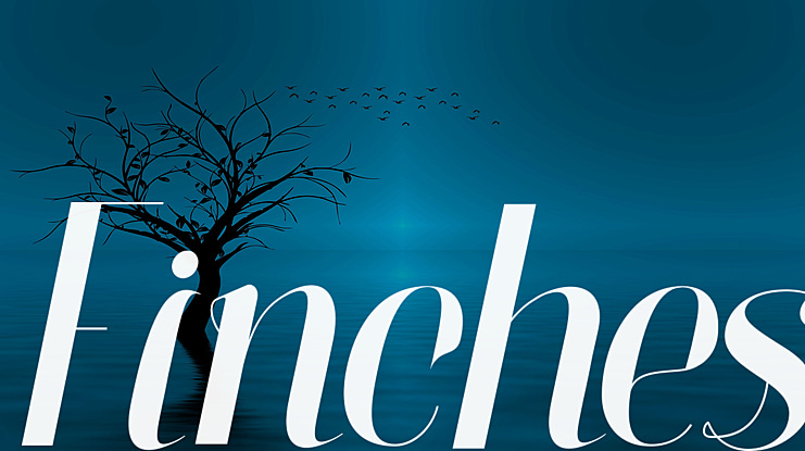 Finches Font