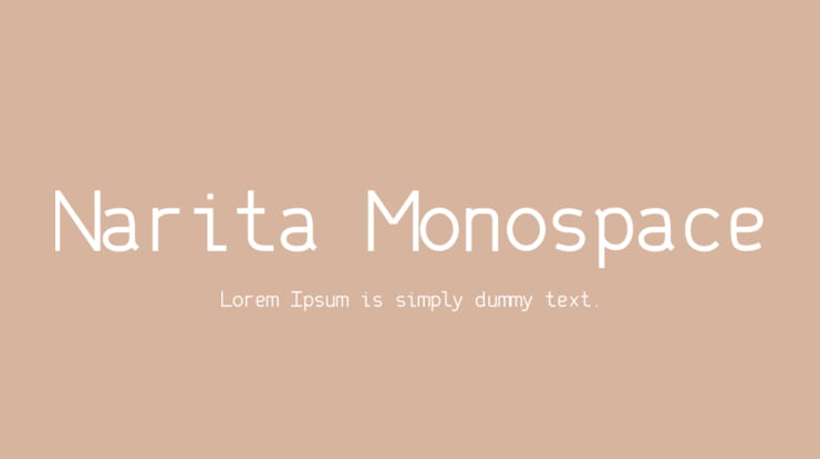 Narita Monospace Font