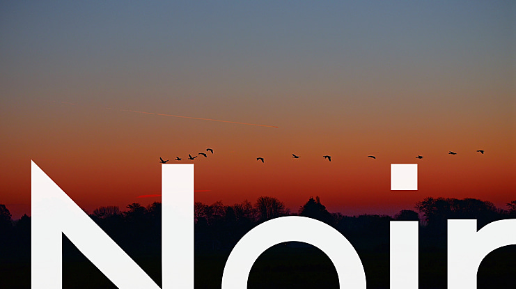 Noir Font Family