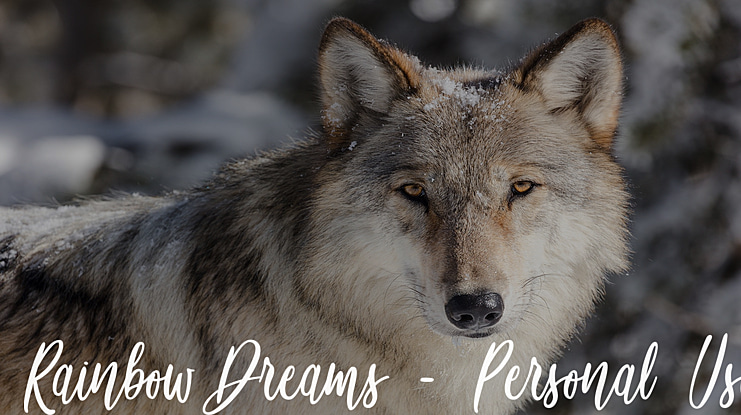 Rainbow Dreams - Personal Use Font