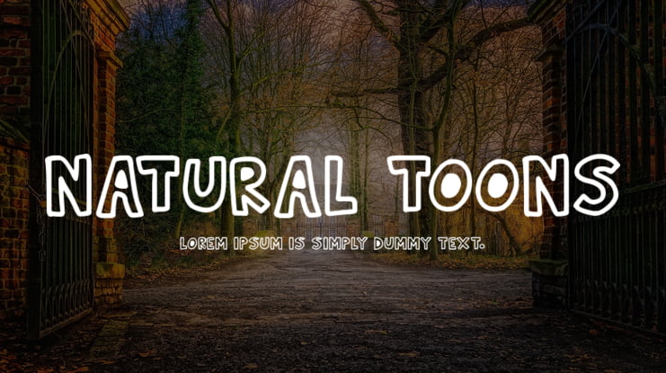 Natural Toons Font Family