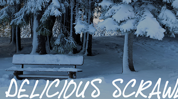 Delicious Scrawl Font Family