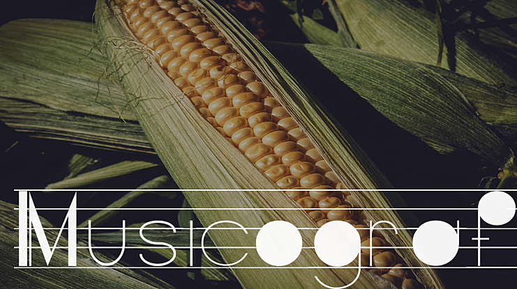 Musicografi Font