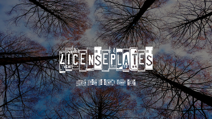 LicensePlates Font