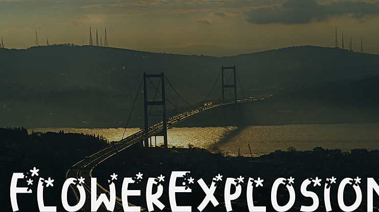 FlowerExplosion Font