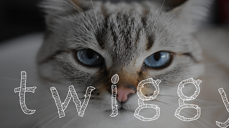 Twiggy Font