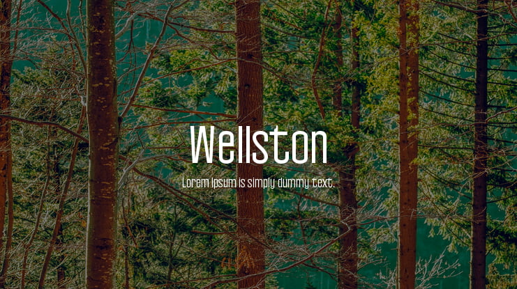 Wellston Font Family