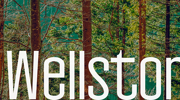 Wellston Font Family