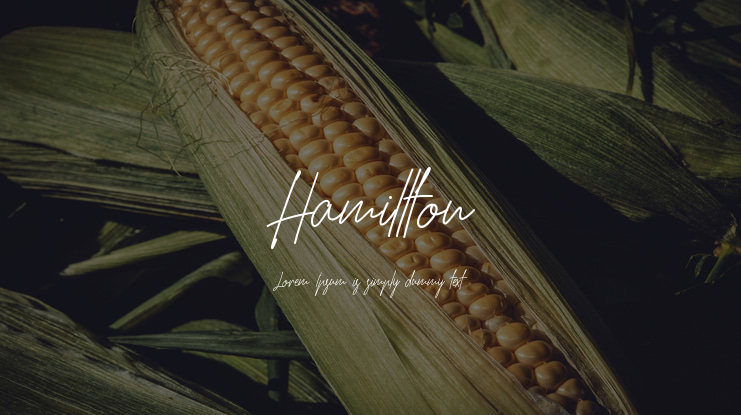 Hamillton Font