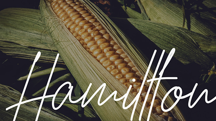 Hamillton Font