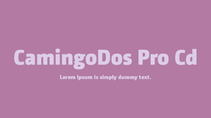 CamingoDos Pro Cd Font Family