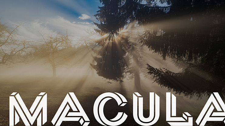 Macula Font Family