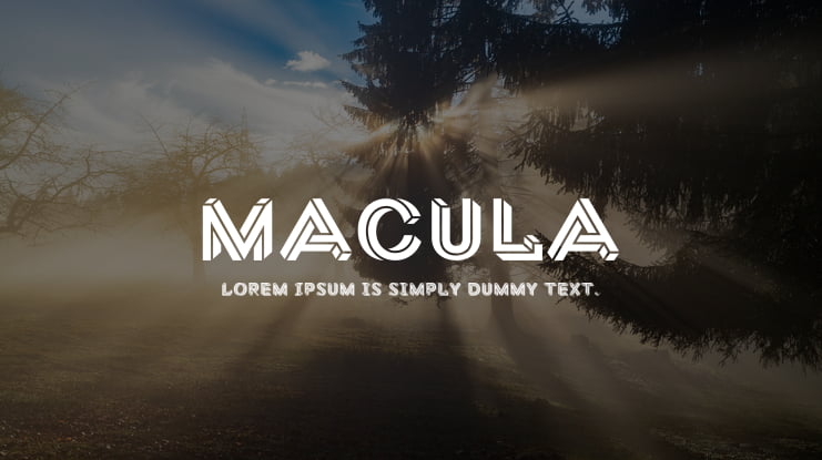 Macula Font Family